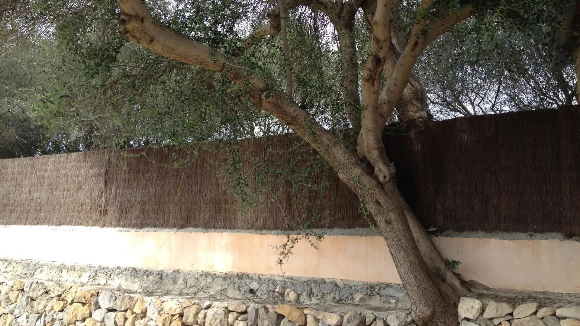 Séjour à la ferme Agroturismo Finca Dalt Murada Binissalem Espagne