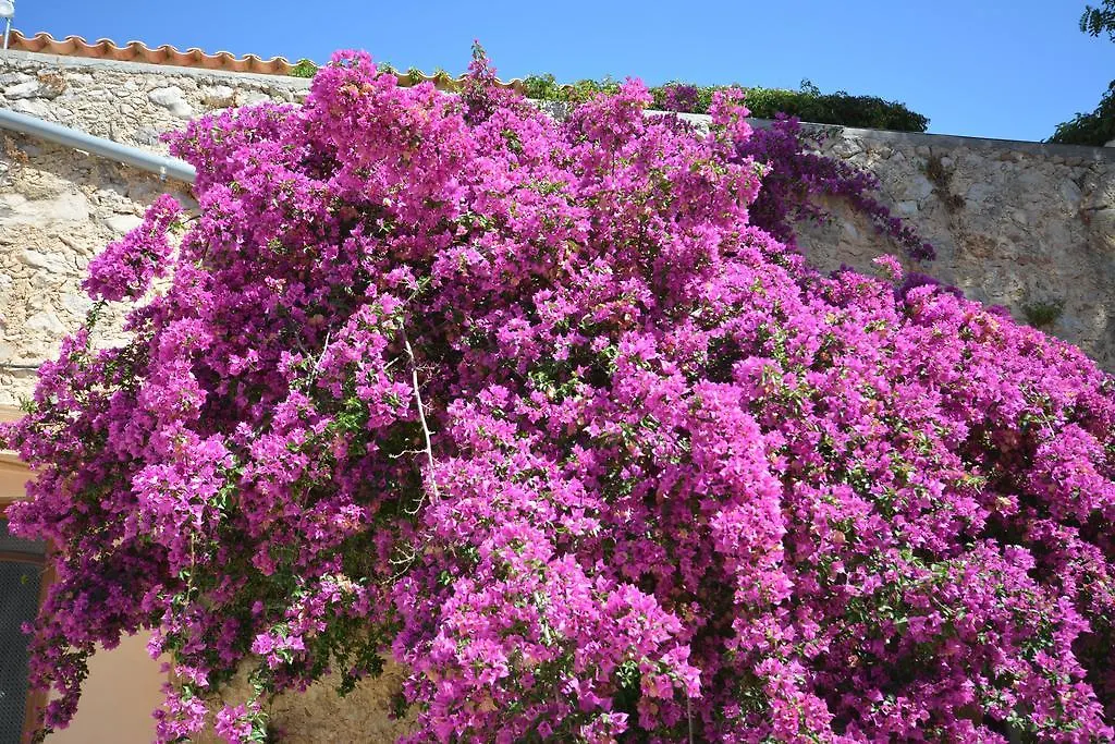 Agroturismo Finca Dalt Murada Binisalem