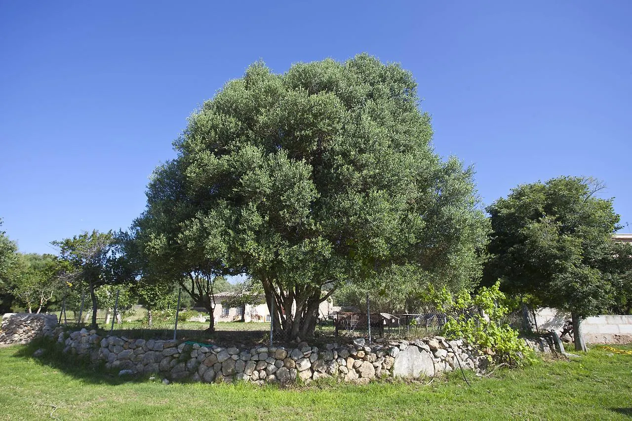 Agroturismo Finca Dalt Murada Binisalem España