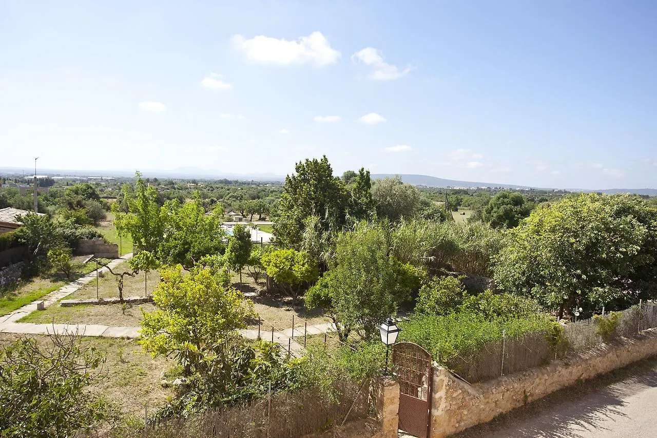 Agroturismo Finca Dalt Murada Binisalem